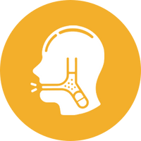 Optimizes Gut Health