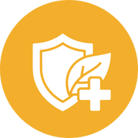 Strengthens Immune Resilience